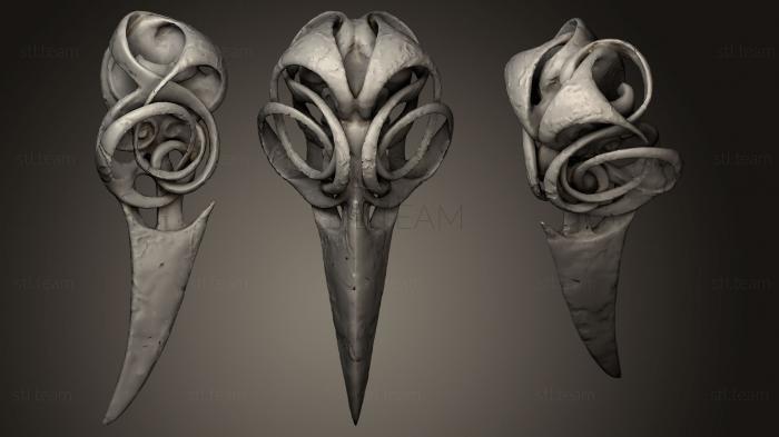 3D model Mystic Crow Skull (STL)